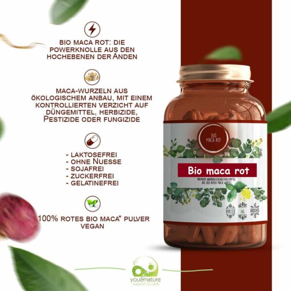 Bio Maca rot 500 mg – Bild 3