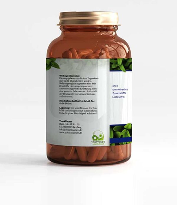 MSM Tabletten 1500 mg vegan – Bild 7