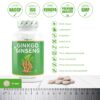 Ginkgo Ginseng