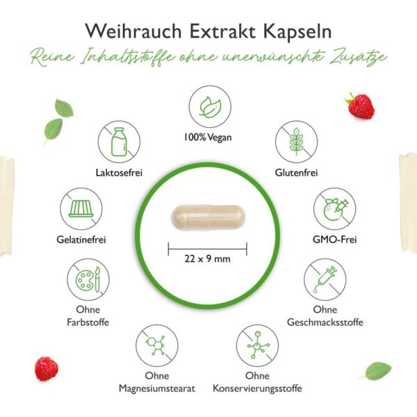 Weihrauch Extrakt 1000 - 1000 mg pro Tag - 85% Boswellia-Säure - 365 Kapseln