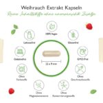 Weihrauch Extrakt 1000 - 1000 mg pro Tag - 85% Boswellia-Säure - 365 Kapseln
